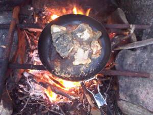 Fish in a pan 1st night Cirrus