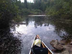 IMG00601-20130831-1048