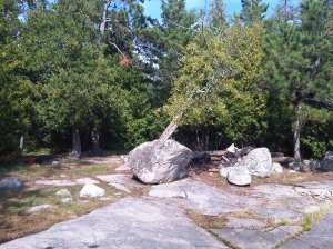 IMG00605-20130831-1557