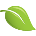 leaf-75px
