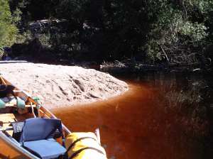 sand bar moose river4