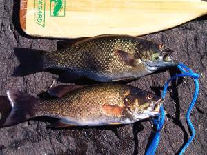 SM 15 and 17 together