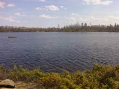 View burn area south on Lake Two 713