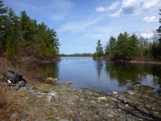 Birch putin next lake