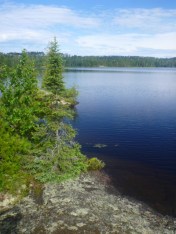 Southwestern bay, Cherokee Lake