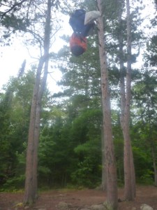 The 3-pulley bear hang