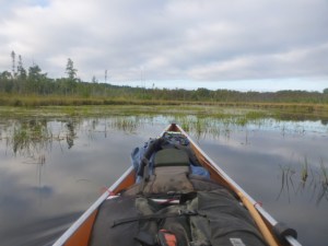 Paddling through swamp to Wood Lake Takeout. By TMI. All rights reserved.