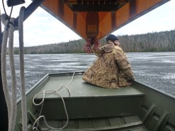 Punch through ice on moose