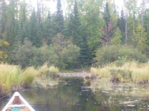 Wood Lake Portage to Parking Lot. By TMI. All rights reserved.