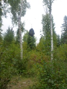 Bear Rope Hanging technique. By TMI. All rights reserved