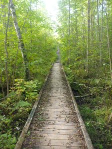 Wooden bridge on 180-rod portage into Wood. By TMI, all rights reserved